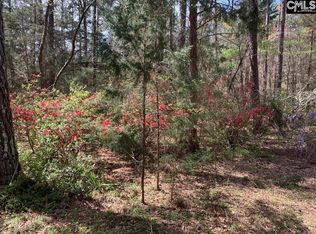 0 Eleazer Rd PARCEL C, Irmo, SC 29063