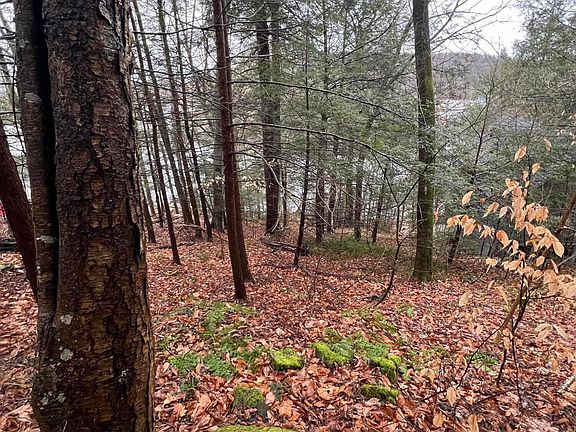 4th image of Route 107 Lake Sheridan