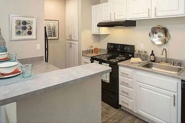 Monte Vista Apartments — Photo 4
