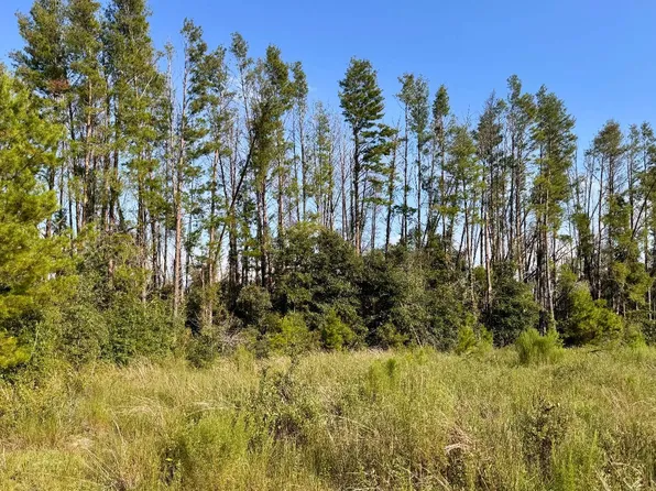 LOT 2F SW 52nd Ln, Jasper, FL 32052