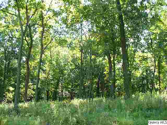 Home for Sale in Quincy, IL $49,900