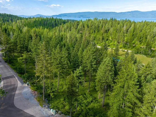 16 Bridle Ct, Bigfork, MT 59911