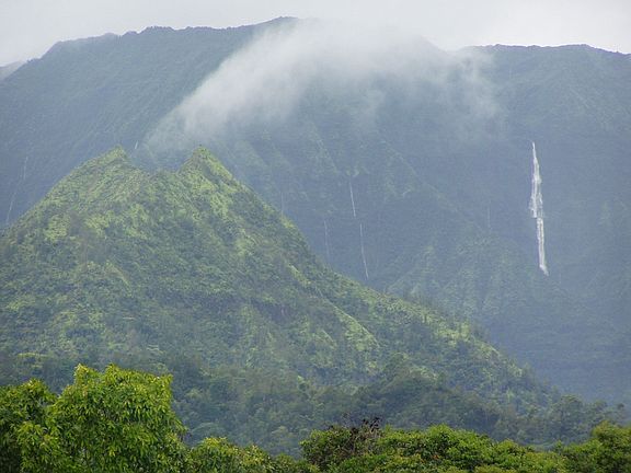 View from Dinning Room