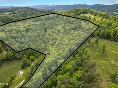 Tip Coffey Ln, Washburn, TN, 37888