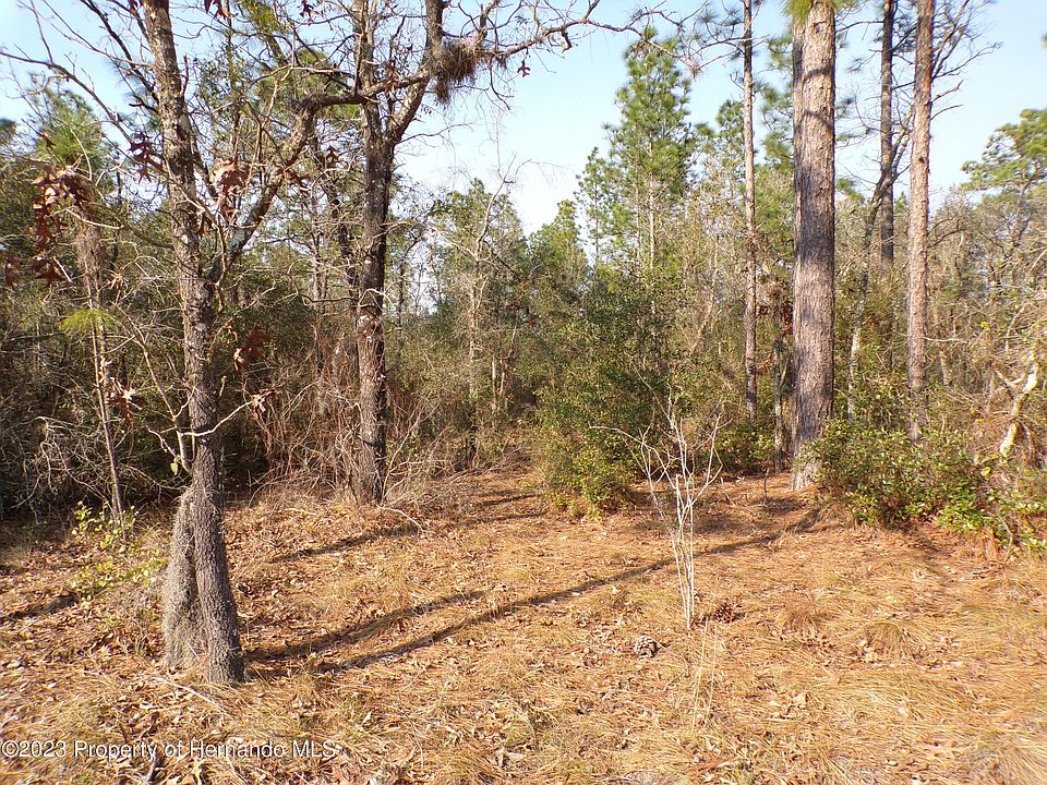 1st image of 3741 W Citrus Springs Blvd