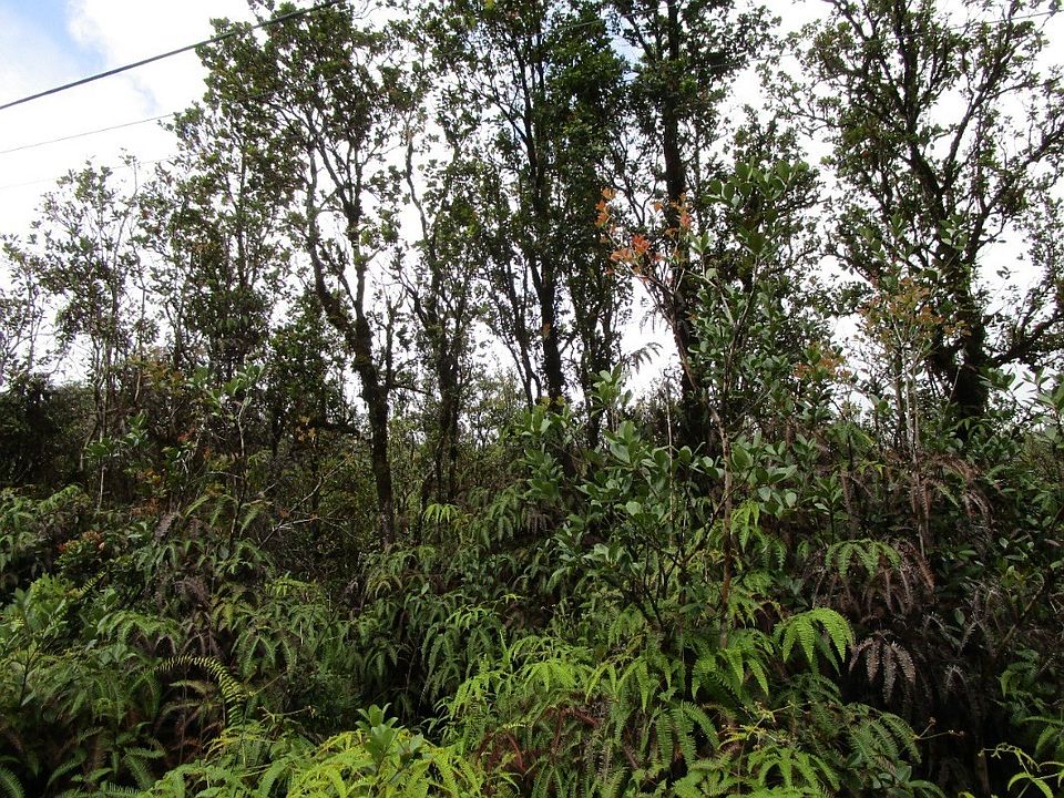 2nd image of Ohia Ave Lot 13