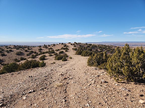 5th image of Near Camino Halcon