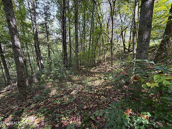3rd image of 25 East Dr #25