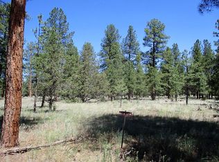 10 Bobcat Dr, Ramah, NM 87321