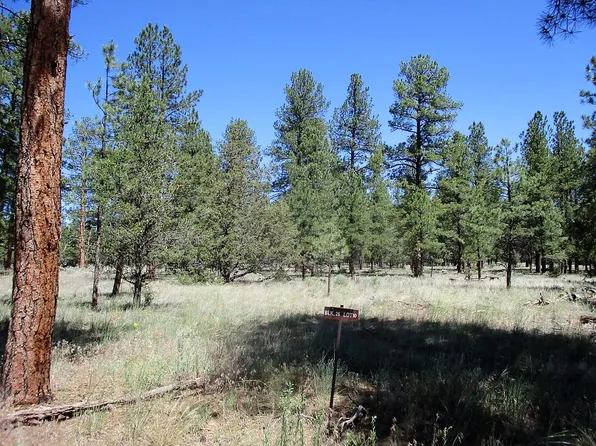 10 Bobcat Dr, Ramah, NM 87321