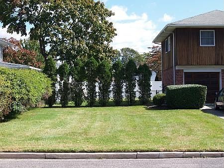 Side Yard