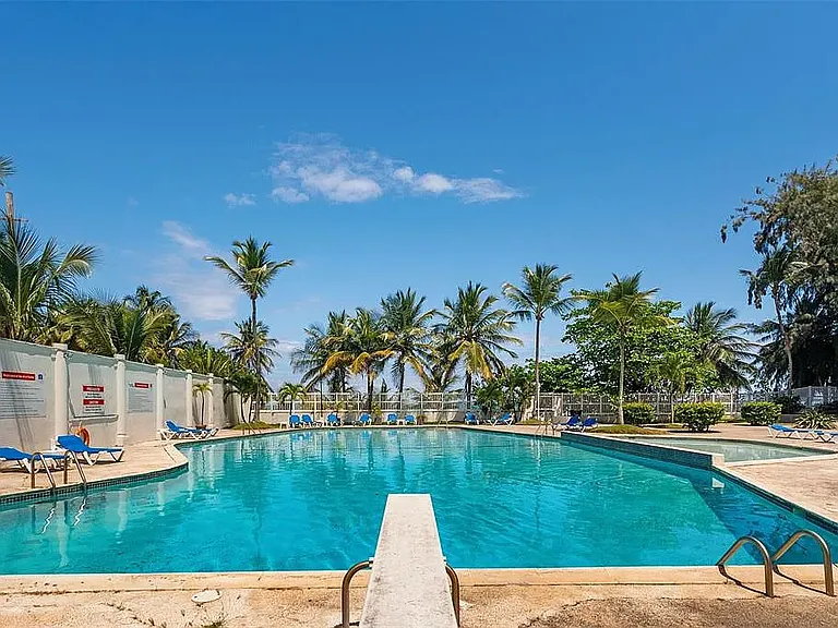 3001 Plaza Del Mar Cond Isla Verde Ave #1006 — Photo 48