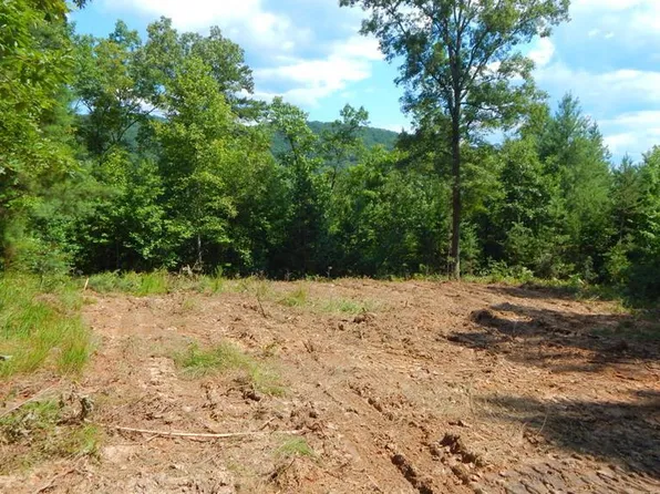 Hothouse Rd, Murphy, NC 28906