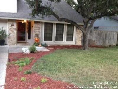15226 Chalet Dr, San Antonio, TX, 78232
