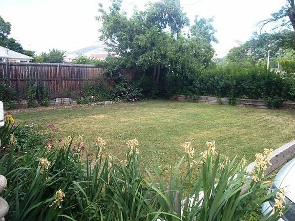 Beautiful front yard