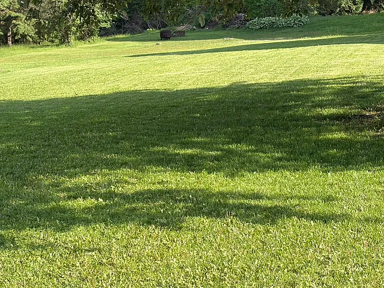 1896 73rd St — Photo 6