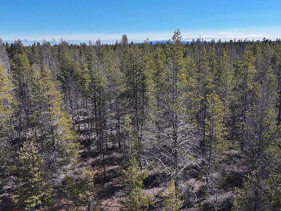 2nd image of Scott View Dr #11