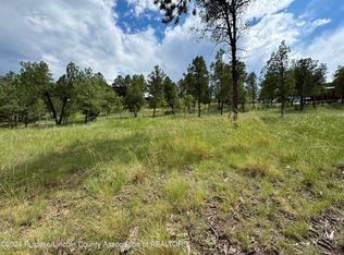 116 Pat Willingham Ct, Ruidoso, NM 88345