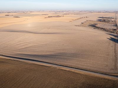 Road 14 & Rd W, Pender, NE, 68047