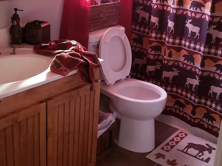 Main floor bathroom