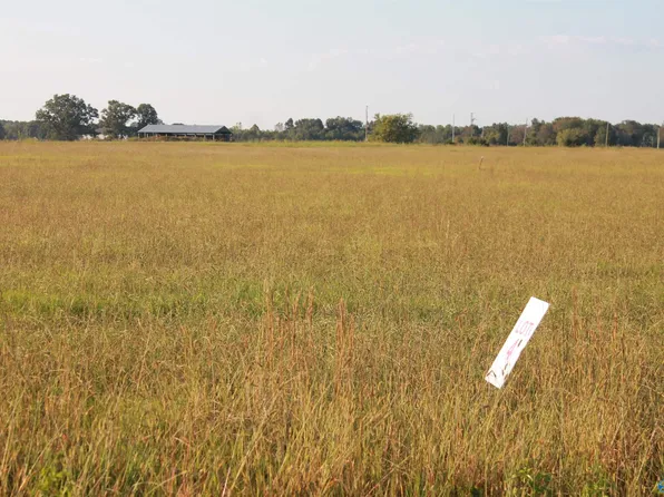 4 Highway 55 W, Falkville, AL 35622