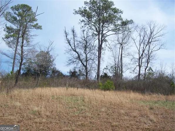 0 Ti Pi Ln, Chatsworth, GA 30705