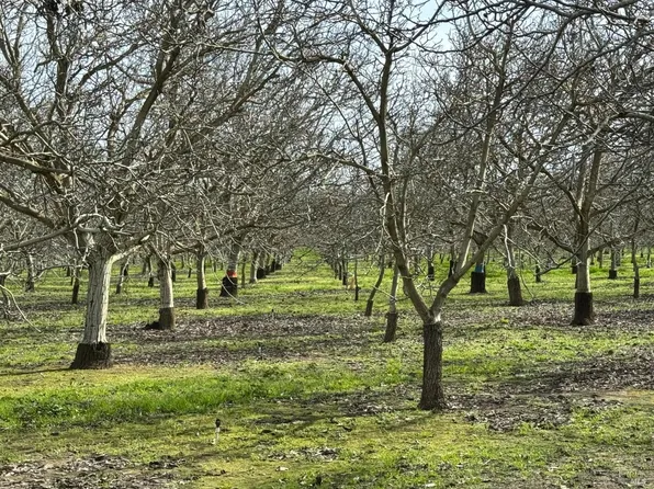 4766 Thorpe Road, Winters, CA 95694