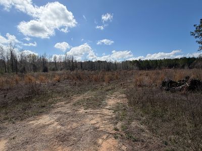 3557 Antioch Church Rd, Eastman, GA, 31023