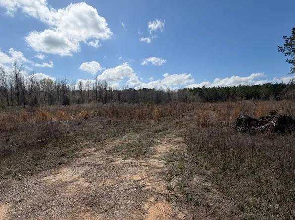 3557 Antioch Church Rd, Eastman, GA 31023