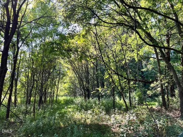 2338 Bowers Store Rd Lot 2, Siler City, NC 27344