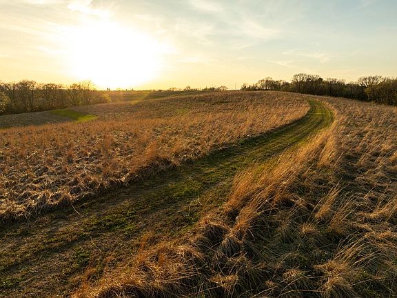 2nd image of 578.01 Acres Hwy #133