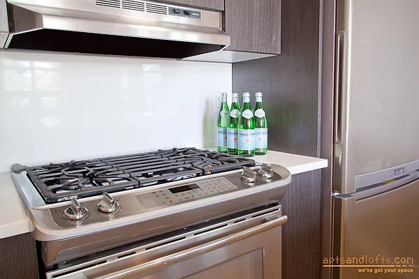 Rented by aptsandlofts.com | media 25