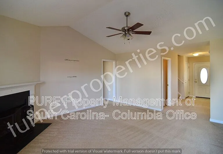 203 Summit Springs Dr — Photo 11