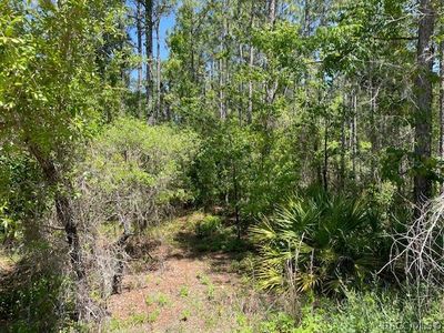6473 W Baghdad St, Dunnellon, FL, 34433