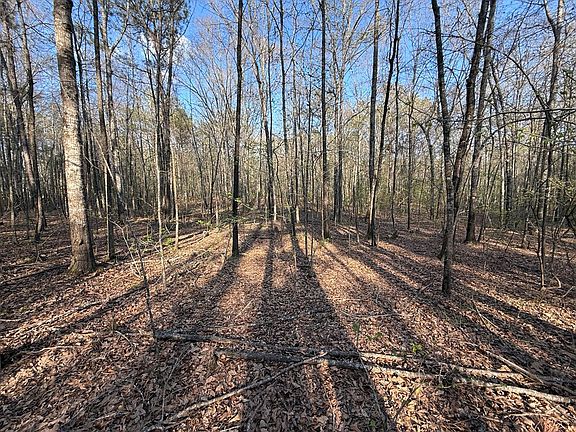 4th image of 0 Oak Mountain Rd