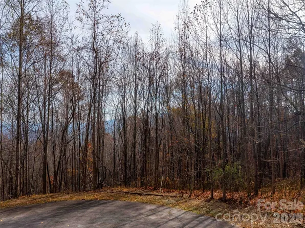 242 Nottingham Dr, Mill Spring, NC 28756