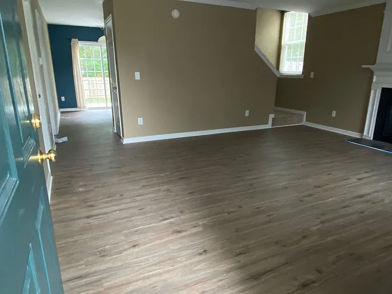 381 Indian Branch Dr — Photo 4