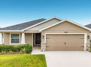 11759 Pink Plumeria Ct, Riverview, FL 33579