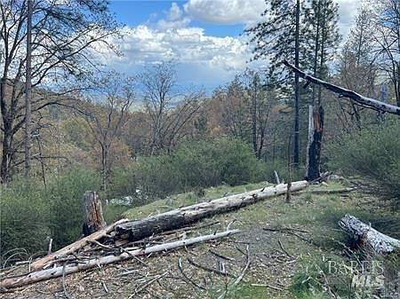 3rd image of 11260 Loch Lomond Road