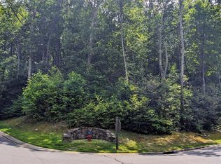 113 Old Lafayette Ln #133 & 134, Black Mountain, NC 28711