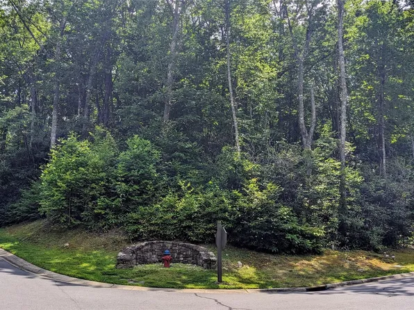 113 Old Lafayette Ln #133 & 134, Black Mountain, NC 28711