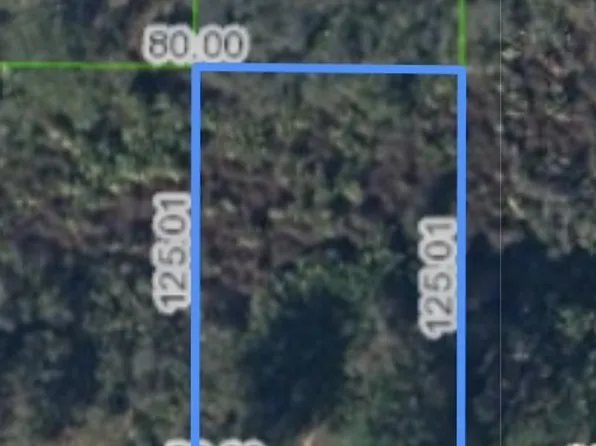 225 Comanche St NW, Lake Placid, FL 33852