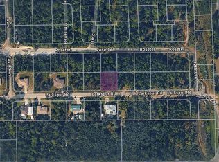 2861 Larkspur Rd Lot 437, Deland, FL 32724