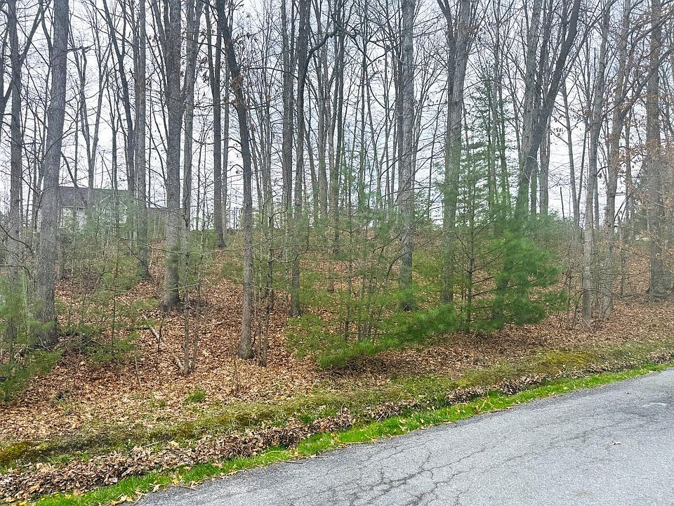 2nd image of Osprey Rd