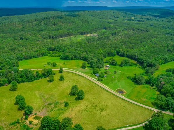 7782 Brockdell Rd, Pikeville, TN 37367