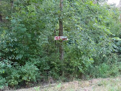 7681 Broadbridge Rd, Ira, MI, 48023