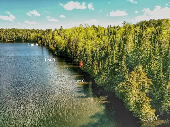LOT Fox Lake Rd #B, Bigfork, MN 56628