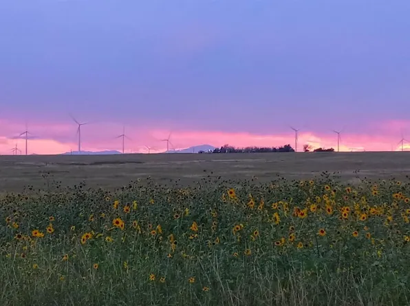 8990 Mulberry Road, Calhan, CO 80808