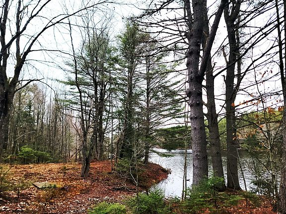 4th image of 217 Frost Mill Road