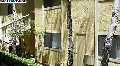 1st image of 8727 Mountain Blvd #21